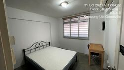 Blk 316 Ubi Avenue 1 (Geylang), HDB 4 Rooms #619288721
